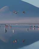 voyage photo bolivie chili hiver axel coeuret promo