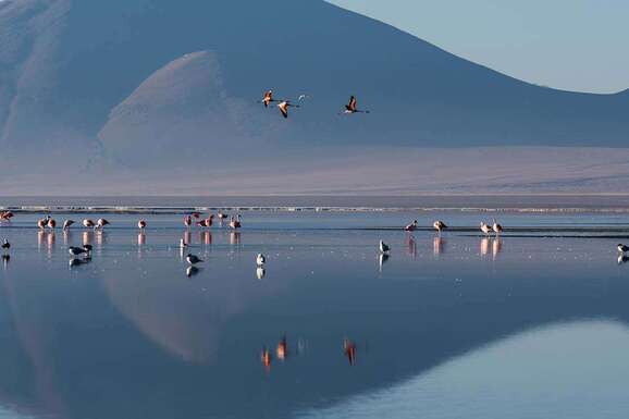 voyage photo bolivie chili hiver axel coeuret promo