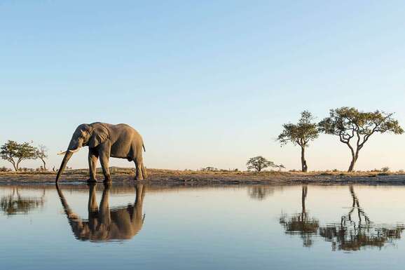 voyage photo botswana david