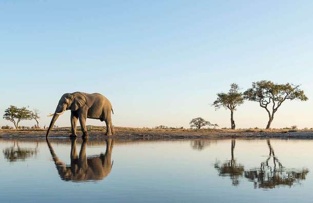 voyage photo botswana david henrot