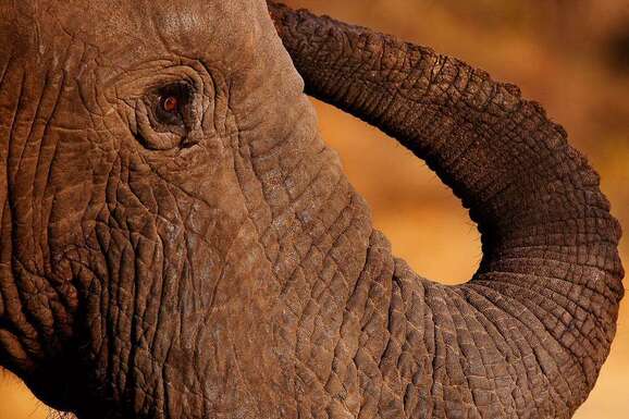 voyage photo botswana florian