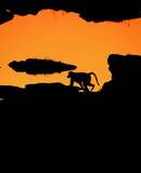 voyage photo botswana florian launette