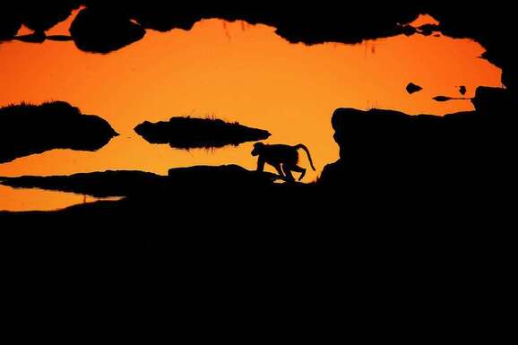 voyage photo botswana florian launette