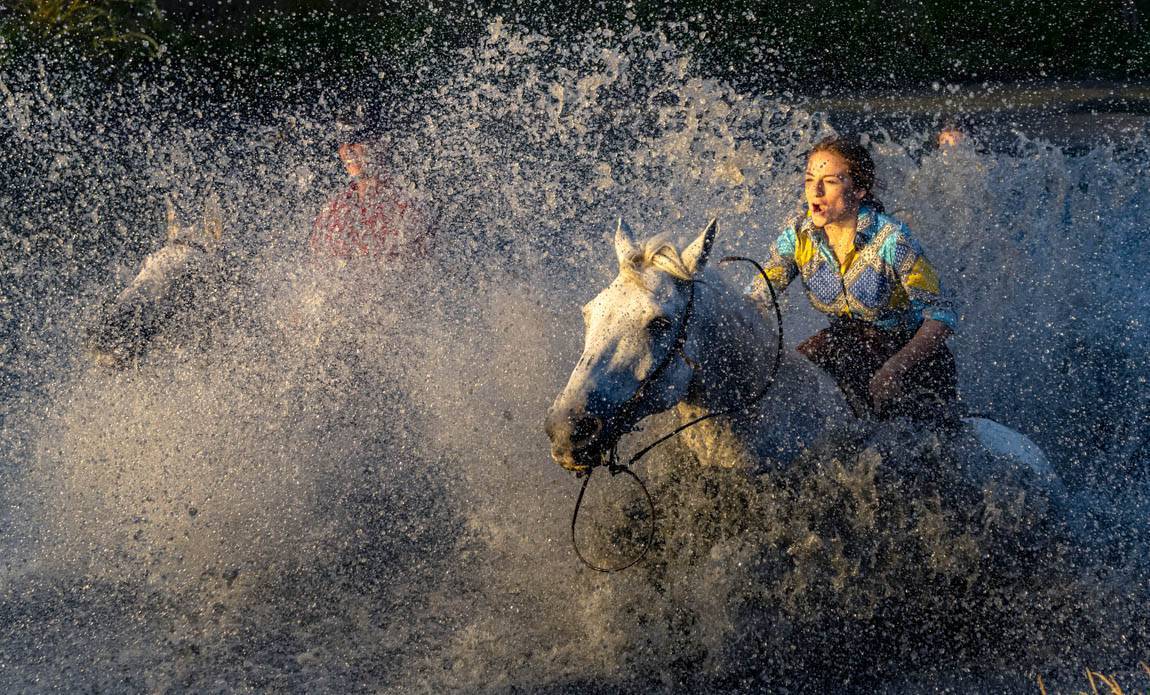 voyage photo camargie patrick frilet galerie 20