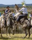 voyage photo camargie patrick frilet promo