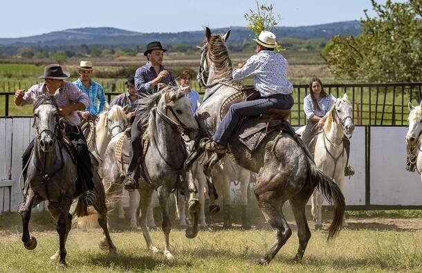 voyage photo camargie patrick frilet promo