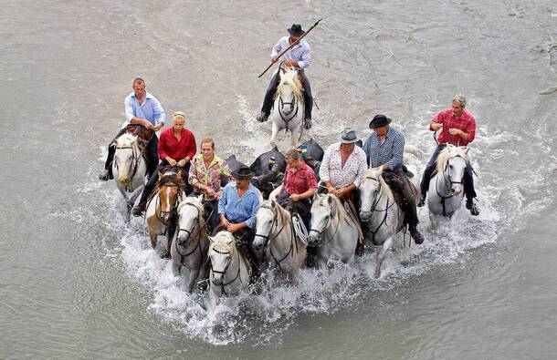 voyage photo camargie patrick frilet promo