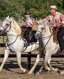 voyage photo camargie patrick frilet promo