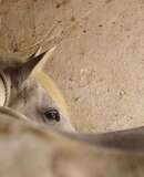 voyage photo camargue jean
