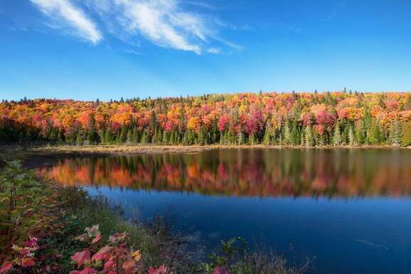 voyage photo canada harmony