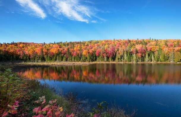 voyage photo canada harmony le