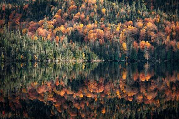 voyage photo canada harmony le reste