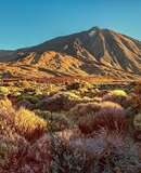voyage photo canaries as 162534617 promo