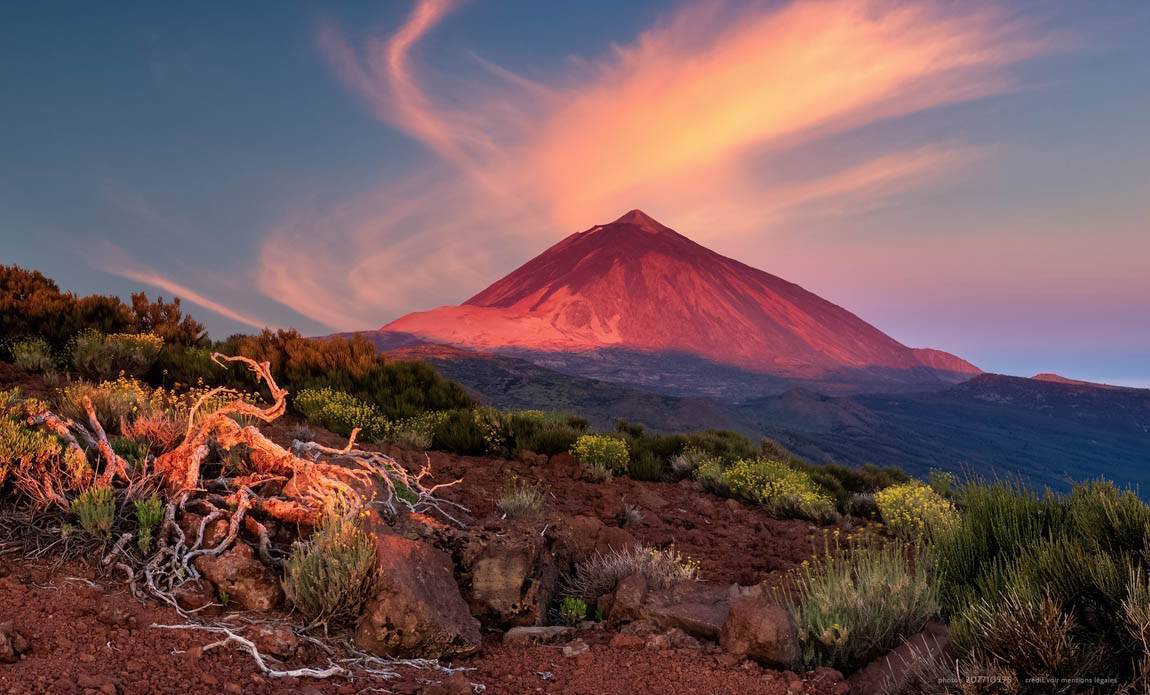 voyage photo canaries as 207710995 galerie 107