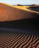 voyage photo canaries as 2338592519 promo