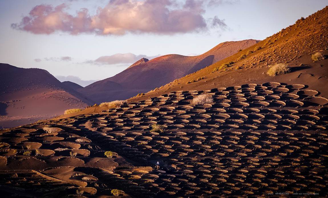 voyage photo canaries as 494847740 galerie 63