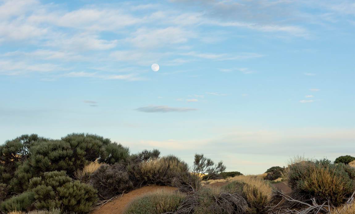 voyage photo canaries axel azni galerie 1