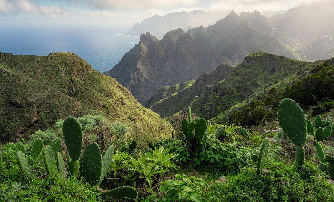 voyage photo canaries axel azni galerie 15