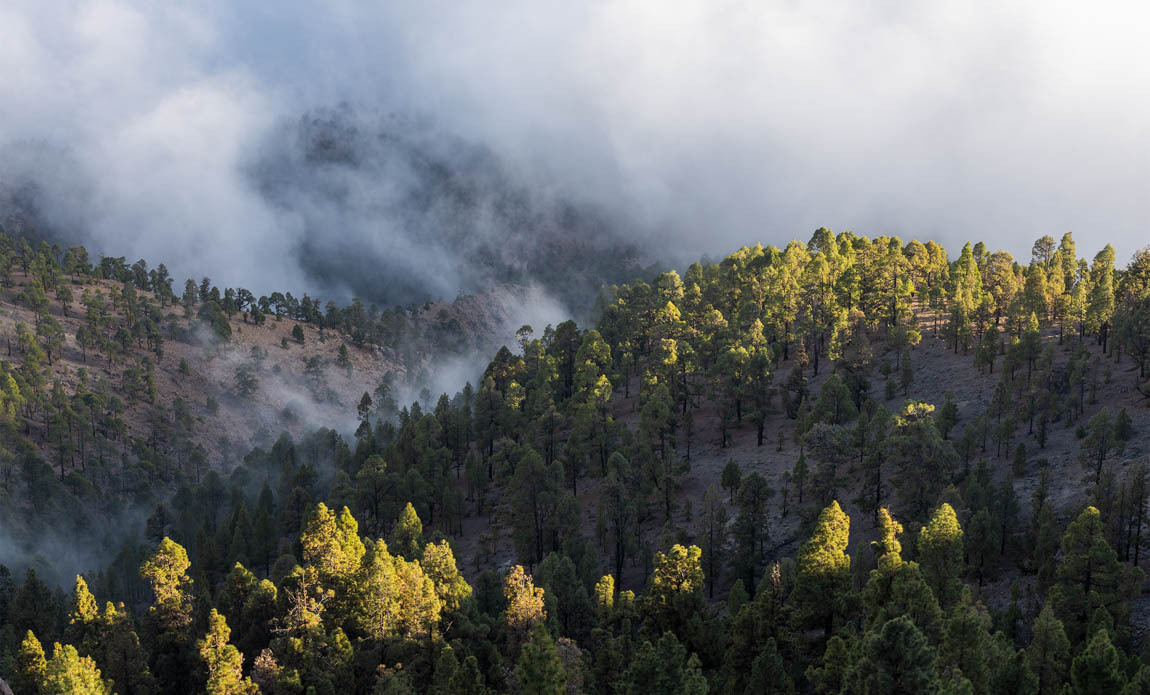 voyage photo canaries axel azni galerie 8