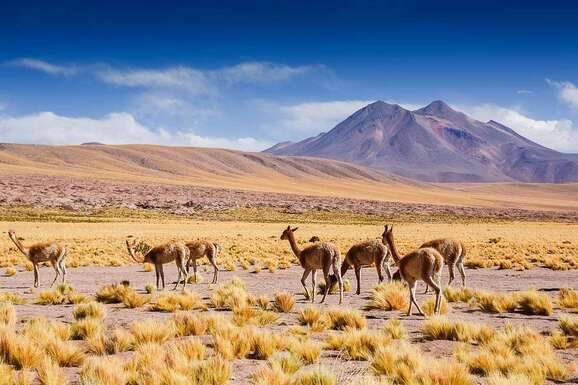 voyage photo chili bolivie 453914889 promo