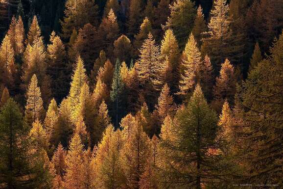 voyage photo claree as