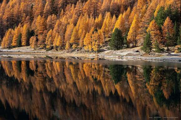 voyage photo claree as