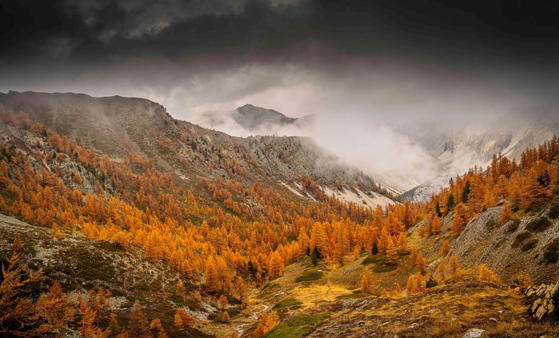 voyage photo claree thierry segonne galerie 8