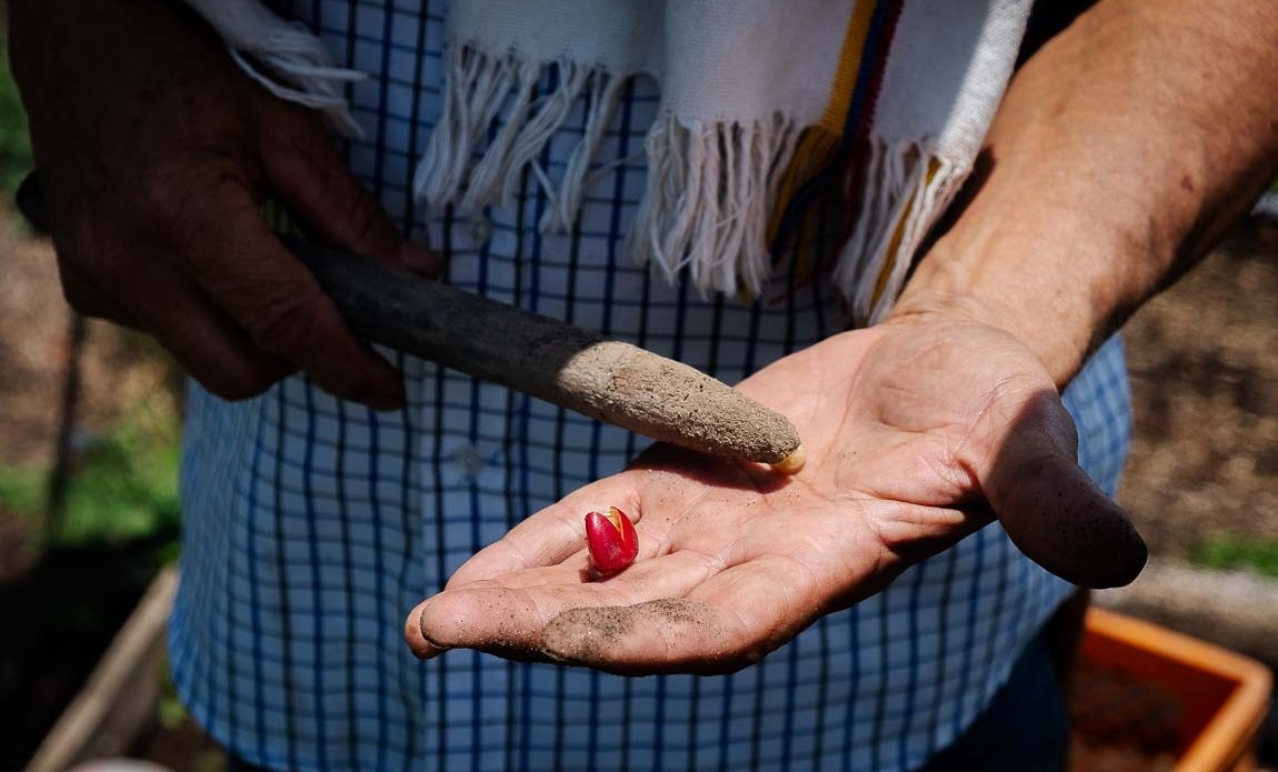 voyage photo colombie marine buffard promo depart 10