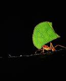 voyage photo costa rica as 186759152 promo 8