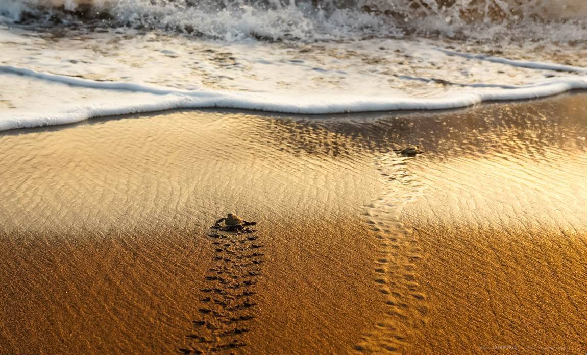 voyage photo costa rica as 234640928 galerie 9