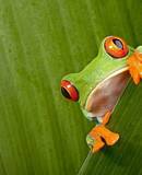 voyage photo costa rica as 43998822