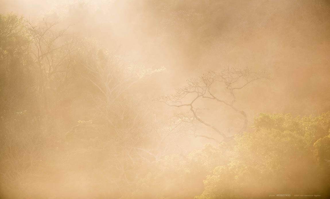 voyage photo costa rica as 485807450 galerie 26