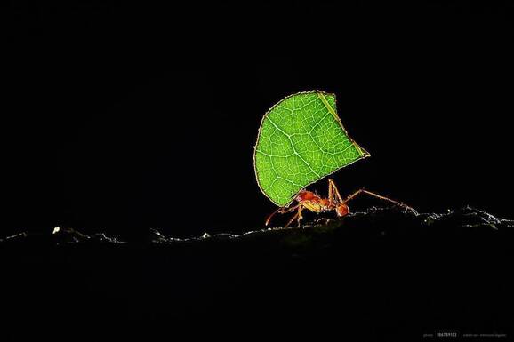 voyage photo costa rica as