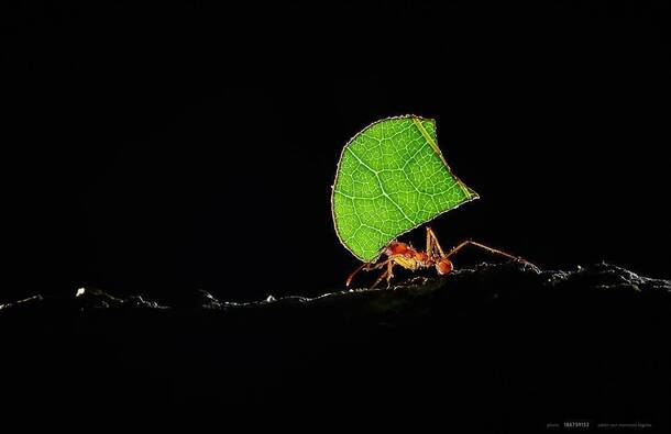 voyage photo costa rica as