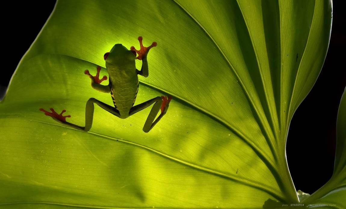 voyage photo costa rica as 611650934 galerie 32