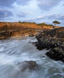 voyage photo cote emeraude
