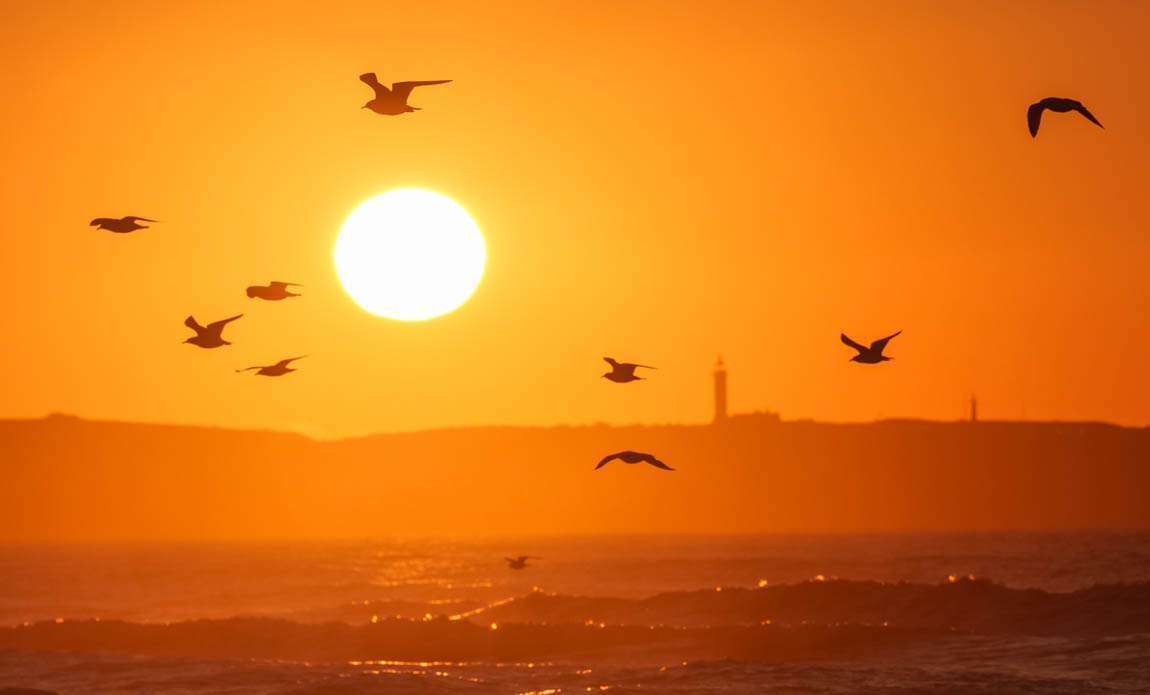 voyage photo cote opale mathieu bachon gal cdo 9
