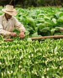 voyage photo cuba stock promo 5