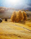 voyage photo dolomites automne as gen
