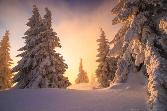 voyage photo dolomites hiver 571046400 promo