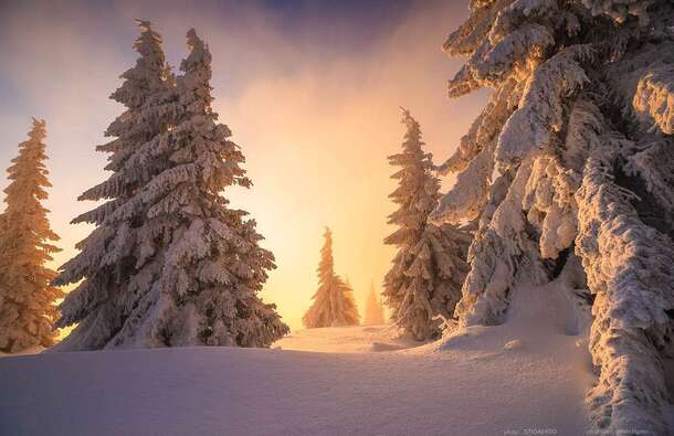 voyage photo dolomites hiver 571046400 promo