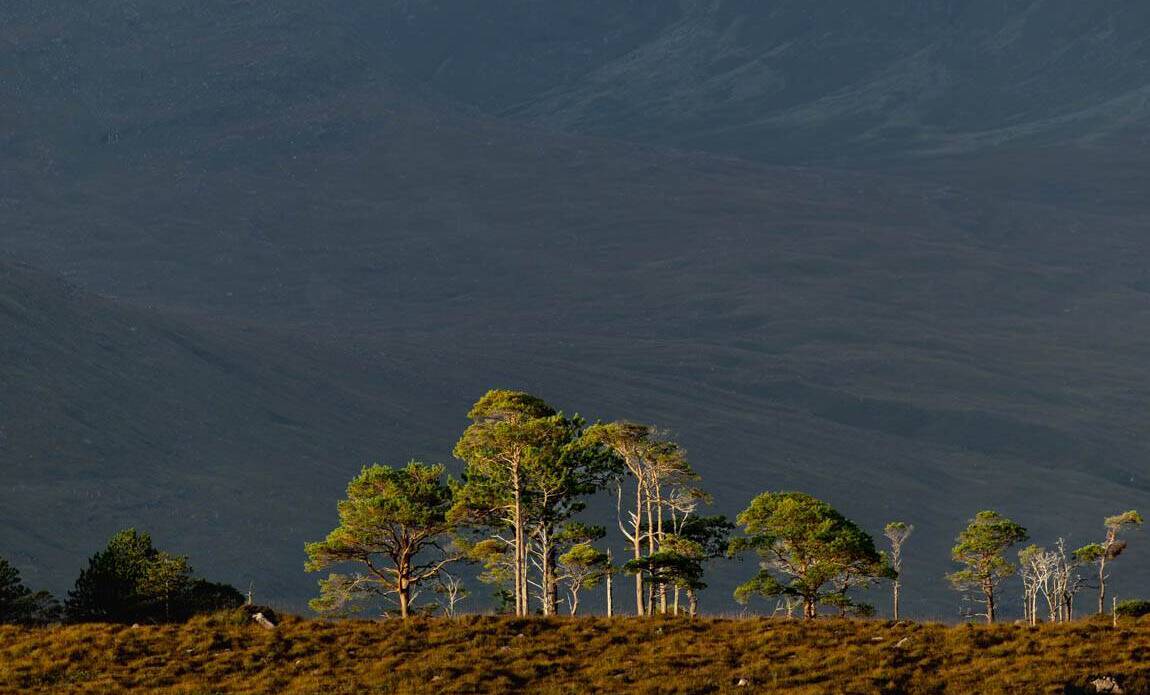 voyage photo ecosse du nord vincent frances galerie 12