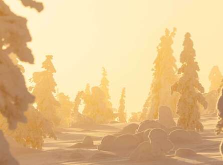 voyage photo finlande hiver 1125449196 gen 12