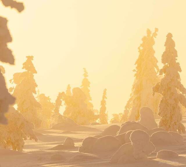 voyage photo finlande hiver 1125449196 gen 12