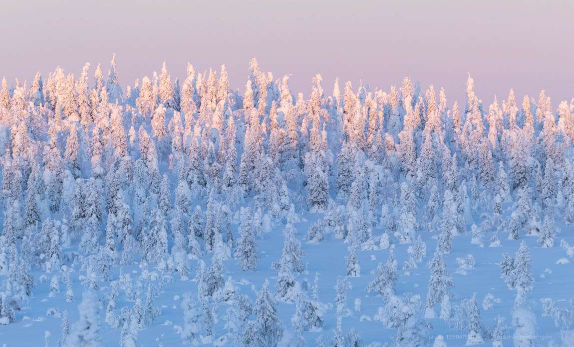 voyage photo finlande hiver 1159847951 galerie 17