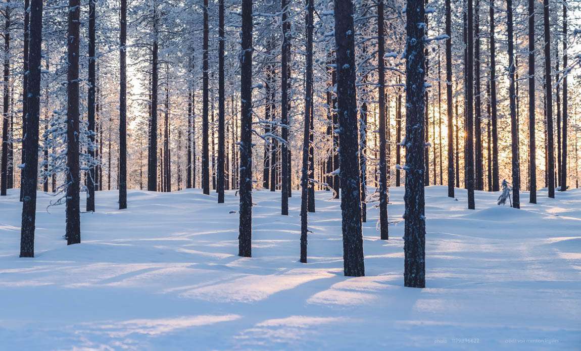voyage photo finlande hiver 1179896622 galerie 19