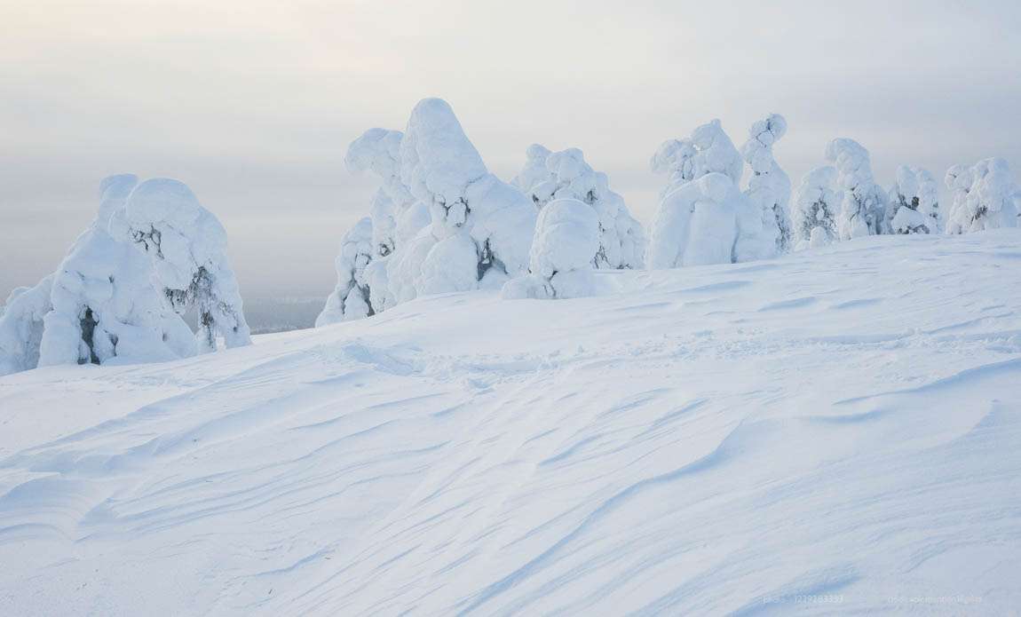 voyage photo finlande hiver 1229283333 galerie 21
