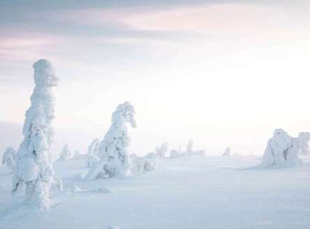 voyage photo finlande hiver 185148292 gen 25
