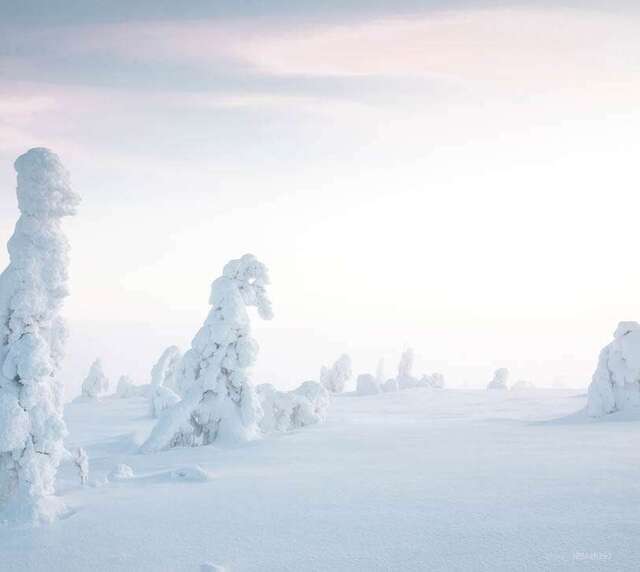 voyage photo finlande hiver 185148292 gen 25
