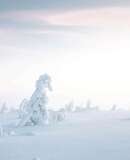 voyage photo finlande hiver 185148292 promo